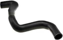 NTY Car Radiator Hose for Ford Focus NTY Car Radiator Hose for Ford Focus