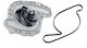 NTY Car Water Pump for Chrysler 300C / Grand Voyager / Pacifica / Sebring Dodge Charger / Journey / Nitro
