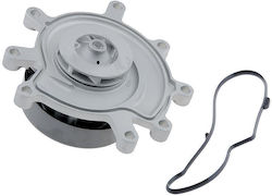 NTY Auto-Wasserpumpe für Chrysler Aspen Jeep Cherokee / Kommandant / Großer Cherokee Dodge Nitro
