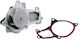 NTY Car Water Pump for Chrysler Grand Voyager Volkswagen Routan