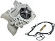 NTY Car Water Pump for Renault Clio / Kangoo / Megane / Scenic / Thalia