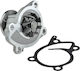 NTY Auto-Wasserpumpe für Mercedes-Benz Citan Renault Erfassen / Clio / Fluence / Großartiger Szenischer / Kadjar / Kangoo / Megane / Malerei / Thalia / Twingo Nissan Blauer Vogel / Juke / Micra / NV200 / Evalia / Pulsar / Qashqai / Sentra / Tiida Smart FürVier / FürZwei Dacia Dokker / Staubwedel / Lodgy / Logan / Logan MCV / Sandero