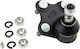 NTY Kugelgelenke für Audi A1 Lexus Online-Handel Seat Cordoba / Ibiza / Mii / Toledo Skoda Citigo / Fabia / Schnell / Raumster / E-Commerce-Website Volkswagen Polo ZSD-VW-001