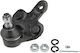NTY Car Ball Joint for Lexus RX Toyota Highlander / Sienna ZSD-TY-088