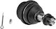 NTY Car Ball Joint for Chevrolet Avalanche / Silverado / Suburban / Tahoe Ford Express / Sierra ZSD-CH-029