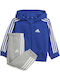 Kids Sweatpants Set With Jacket With Top Grey 2 Pieces Performance