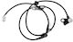 NTY ABS Sensor Back for Mazda 6