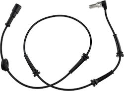 NTY ABS Sensor Zurück NTY ABS Sensor Zurück