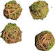 Desktop Decoration Garden Wooden 6433-01