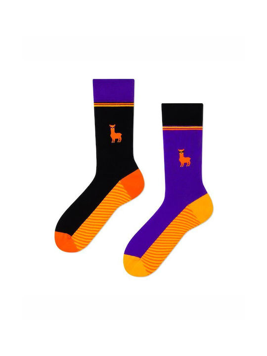 TKT Unisex Κάλτσες με Σχέδια Πολύχρωμες