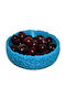 Wep 3d Fruit Bowl Plastic Blue 13.6x13.6x4.6cm