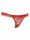 G Secret Women's Lace String Red