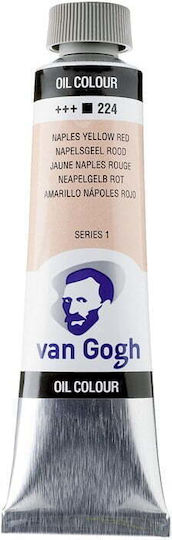 Royal Talens Van Gogh Beige Oil Colour 40ml Naples Yellow Red 224