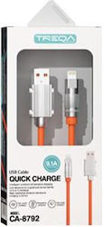 AGC CA-8792 USB-A zu Lightning 1m (30502141) AGC CA-8792 USB-A zu Lightning 1m (30502141)