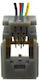 Autonics Conector 01.091.0030