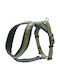 Hunter Ham de câine Verde 013618