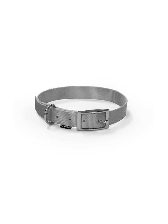 Glee Dog Collar in Gray color 88615