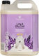 Innocence Σαμπουάν Σκύλου 4000ml