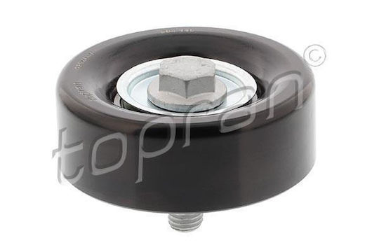 Topran Lichtmaschinen Spannrolle für Ford Transit Connect