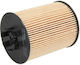 Filtron Car Oil Filter for Opel / Suzuki
