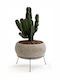 Am.Pm Planter Concrete Gray with Stand 35x35x29cm.