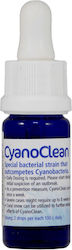 Korallen Zucht 10ml
