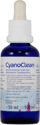 Korallen Zucht 50ml