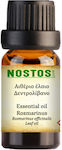 Nostos Pure Essential Oil Rosemary 50ml