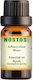Nostos Pure Αιθέριο Έλαιο Μύρο 5ml
