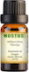 Nostos Pure Αιθέριο Έλαιο Ginger 10ml