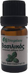 Biogalaxy Bio Ätherisches Öl Basilikum 10ml