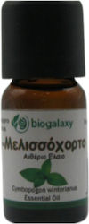 Biogalaxy Essential Oil Lemon Balm 10ml Biogalaxy Essential Oil Lemon Balm 10ml