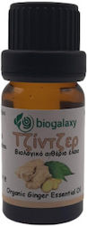 Biogalaxy Organic Essential Oil Ginger 10ml