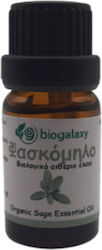 Biogalaxy Βιολογικό Αιθέριο Έλαιο Φασκόμηλο 10ml