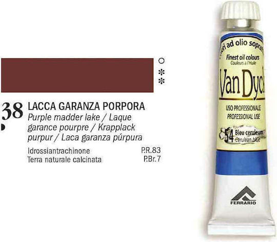 Ferrario Λαδομπογιά 20ml Μωβ