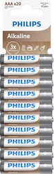 Philips AAA 1.5V 20Stück LR03A20T/GRS