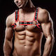 IntoYou CHEST BONDAGE Ανδρικό Harness Μαύρο