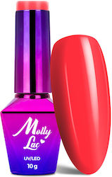 Molly Lac Semipermanent Lac de Unghii 71 10ml 1buc