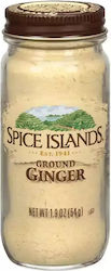Spice Islands Τζίντζερ 54gr