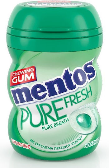 Mentos Chewing gum PURE FRESH 18gr