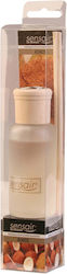 Gala Diffuser Καρύδα 100ml