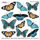 Sospeso Trasparente Papier Decoupage Blue