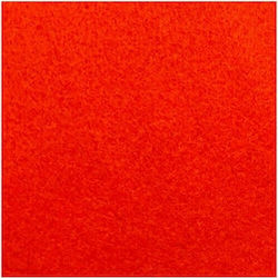 Folia 520020