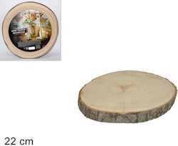 Due esse Wood, Tree Trunk