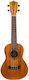 Bumblebee Ukuleles Concert Γιουκαλίλι Concert N...