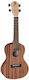 Baton Rouge Ukulele Cactus