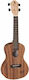Baton Rouge Ukulele Pineapple
