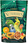 Tropical Birds Food for Budgerigars 284gr