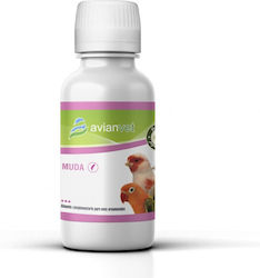 Avianvet Multivitamins for Birds 100ml