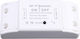 Andowl Intelligenter Schalter Wi-Fi & RF 10A